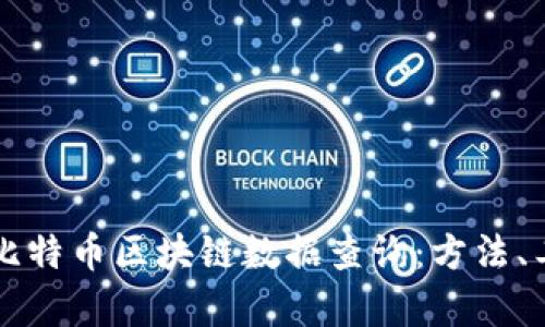 全面解析比特币区块链数据查询：方法、工具与应用