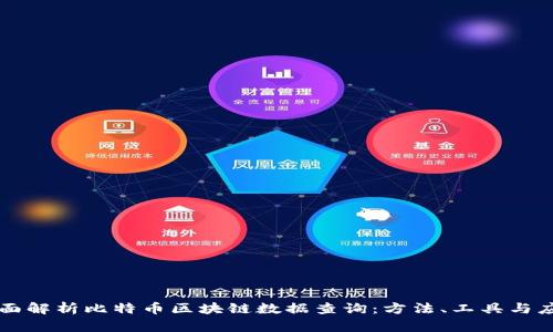 全面解析比特币区块链数据查询：方法、工具与应用