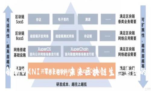 全面解析OMNI Token：未来区块链生态系统的核心