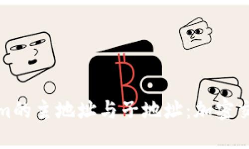 : 详解Tokenim的主地址与子地址：加密交易的核心要素