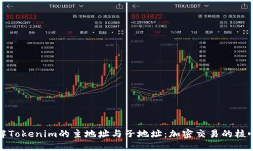 : 详解Tokenim的主地址与子地址：加密交易的核心要素