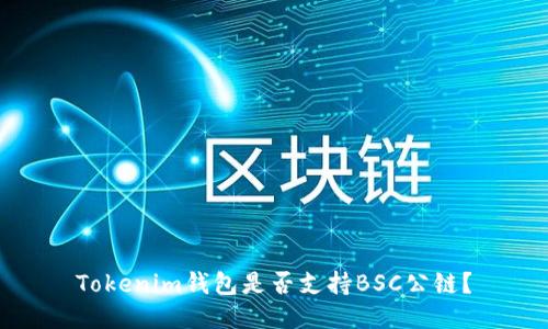 Tokenim钱包是否支持BSC公链？