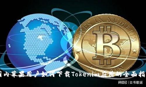 国内苹果用户如何下载Tokenim应用的全面指南