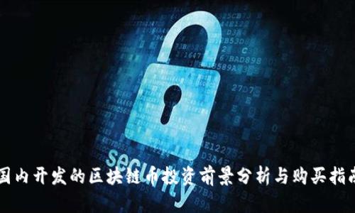国内开发的区块链币投资前景分析与购买指南