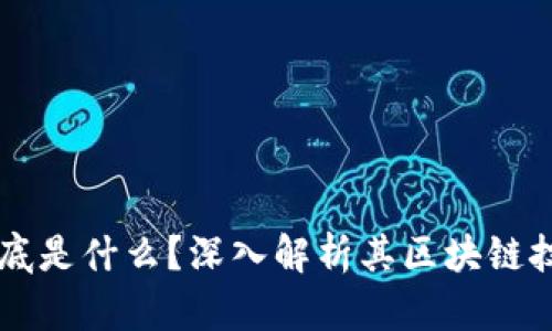 香港环球币到底是什么？深入解析其区块链技术与市场潜力