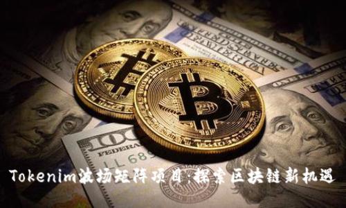 Tokenim波场矩阵项目：探索区块链新机遇