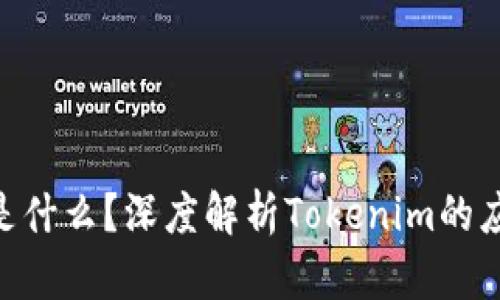 Tokenim是什么？深度解析Tokenim的应用与前景
