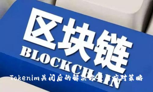 Tokenim关闭后的解决方案与应对策略