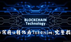 如何将u转化为Tokenim：完整指南