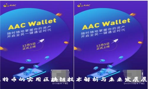 比特币的实用区块链技术解析与未来发展展望