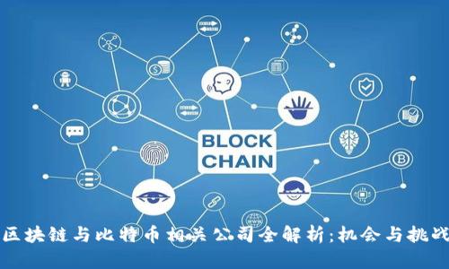 中国区块链与比特币相关公司全解析：机会与挑战并存