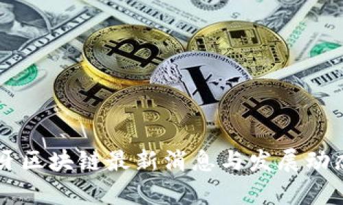 葡萄牙区块链最新消息与发展动态分析