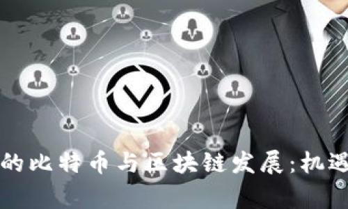 柬埔寨的比特币与区块链发展：机遇与挑战