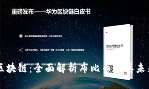 布比区块链：全面解析布比币及其未来潜力