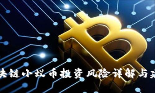 区块链小蚁币投资风险详解与建议