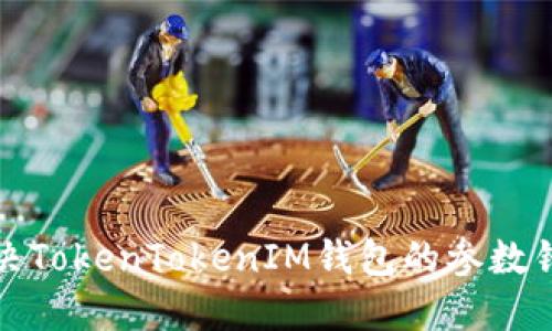 如何解决TokenTokenIM钱包的参数错误问题