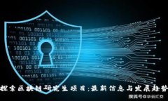 探索区块链研究生项目：最新信息与发展趋势