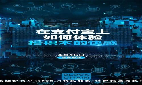 波场如何从Tokenim钱包转出：详细指南与技巧
