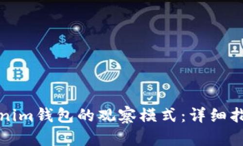 如何设置Tokenim钱包的观察模式：详细指南与问题解答