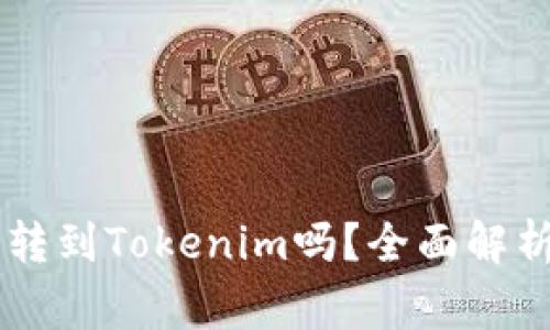 币用里的币可以转到Tokenim吗？全面解析与常见问题解答