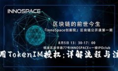 如何调用TokenIM授权：详解流程与注意事项