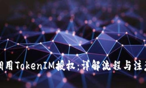 如何调用TokenIM授权：详解流程与注意事项