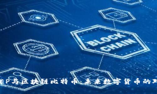 揭秘DCEP与区块链比特币：未来数字货币的对比分析