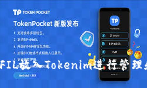 如何将FIL放入Tokenim进行管理和交易？