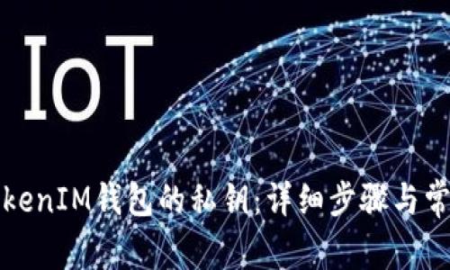 如何更换TokenIM钱包的私钥：详细步骤与常见问题解答