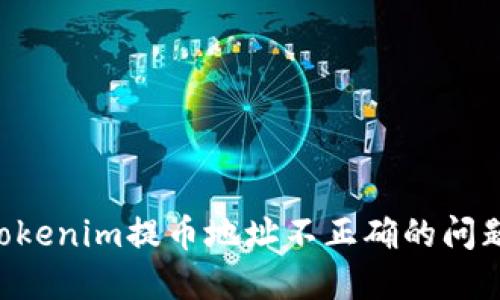 如何解决Tokenim提币地址不正确的问题：完整指南