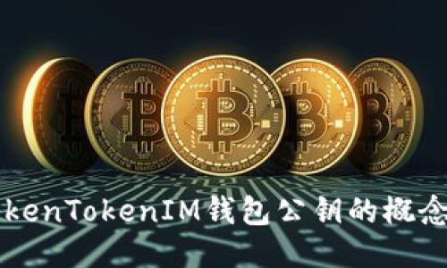 揭秘TokenTokenIM钱包公钥的概念与应用