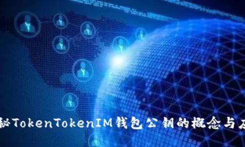 揭秘TokenTokenIM钱包公钥的概念与应用