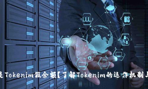 什么是Tokenim假余额？了解Tokenim的运作机制与风险