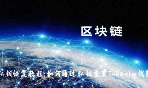 私钥恢复教程：如何通过私钥重置Tokenim钱包