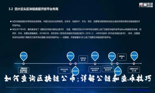 如何查询区块链公币：详解公链和查币技巧