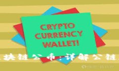 如何查询区块链公币：详解公链和查币技巧