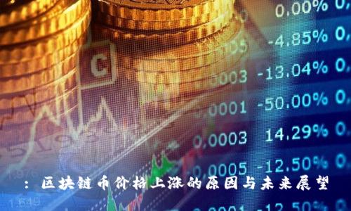 : 区块链币价格上涨的原因与未来展望
