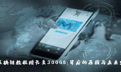比特币区块链数据增长至300GB：背后的原因与未来发展趋势