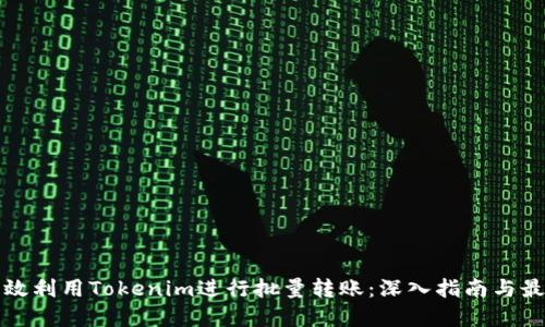 如何高效利用Tokenim进行批量转账：深入指南与最佳实践