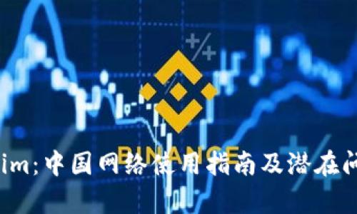  Tokenim：中国网络使用指南及潜在问题解析