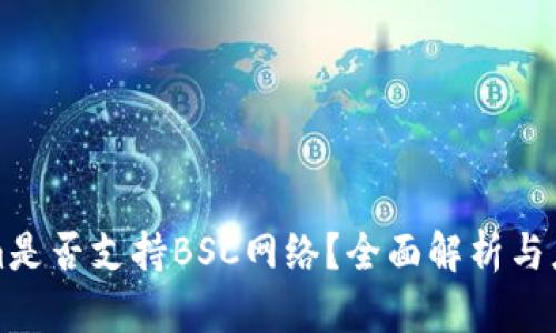 Tokenim是否支持BSC网络？全面解析与应用指南