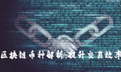 高吞吐量的区块链币种解析：提升交易效率的未