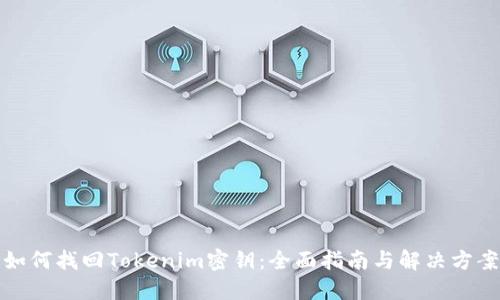 如何找回Tokenim密钥：全面指南与解决方案