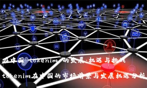 在中国 tokenim 的发展：机遇与挑战

tokenim在中国的市场前景与发展机遇分析