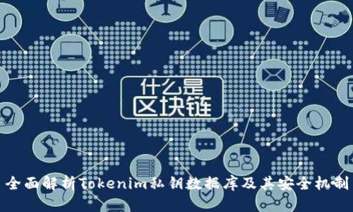 全面解析Tokenim私钥数据库及其安全机制