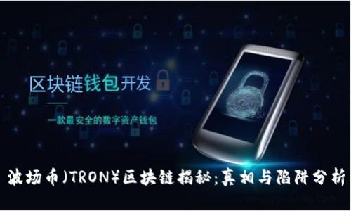 波场币（TRON）区块链揭秘：真相与陷阱分析