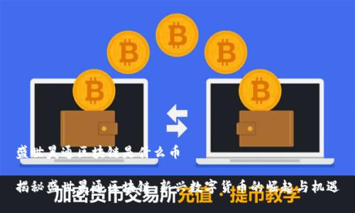 盛世昊通区块链是什么币

揭秘盛世昊通区块链：新兴数字货币的崛起与机遇