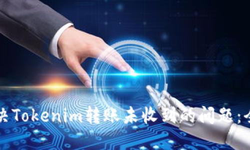 如何解决Tokenim转账未收到的问题：全面指南