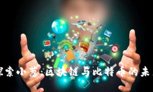 深入探索小葱：区块链与比特币的未来之路