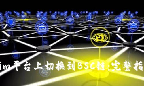 如何在Tokenim平台上切换到BSC链：完整指南与实用技巧